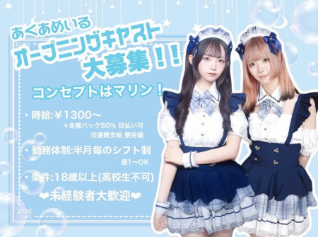 コンカフェ/カウンターレディー